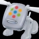 PP303